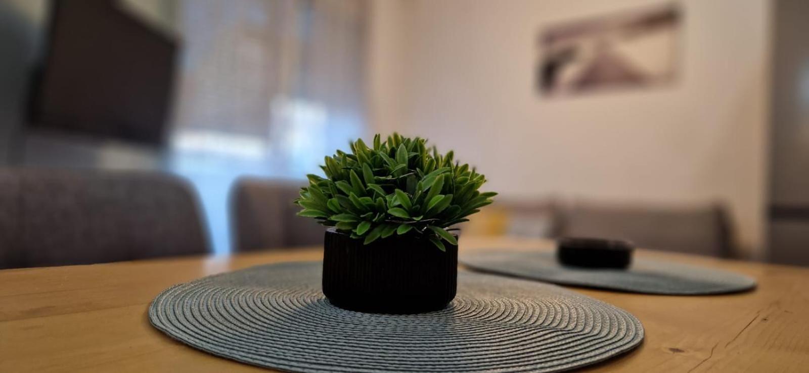 נובי סאד Apartment Luki מראה חיצוני תמונה
